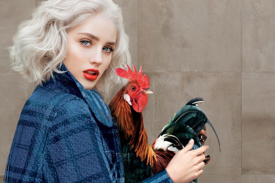 Durchgefärbtes Feinsteinzeug für Boden und Wand | Novoceram